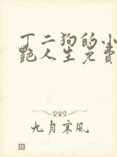 丁二狗的小说猎艳人生免费阅读全文