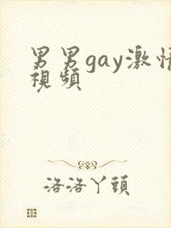 男男gay激情视频