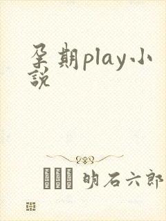 孕期play小说