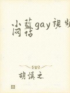 小蓝gay视频网站