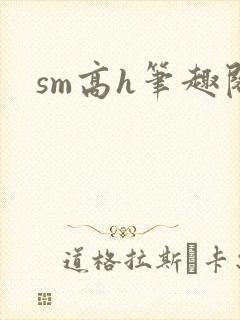 sm高h笔趣阁