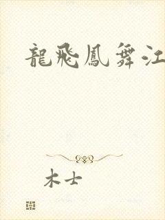 龙飞凤舞江一龙