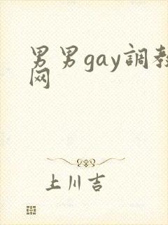 男男gay调教网
