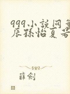 999小说网叶辰孙怡夏若雪封面