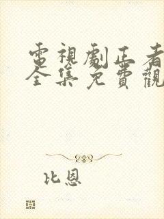 电视剧正者无敌全集免费观看