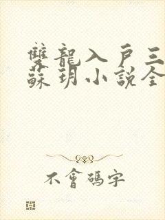 双龙入户三人行苏玥小说全文阅读封面