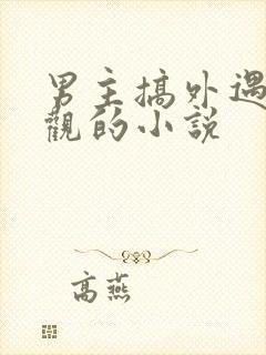 男主搞外遇毁三观的小说封面