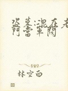 盗墓:混在老九门当军阀封面