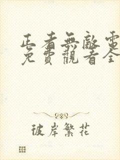 正者无敌电视剧免费观看全集封面