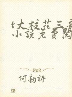 t大校花三部曲小说免费阅读全文封面