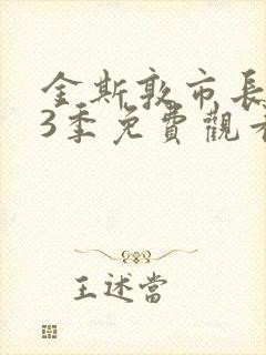 金斯敦市长 第3季免费观看完整版在线全集封面