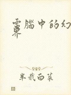 电脑中的幻想世界封面