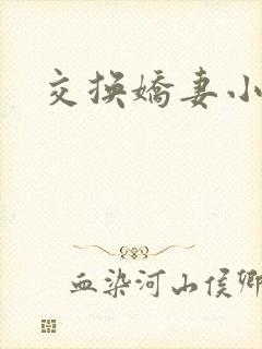 交换娇妻小说