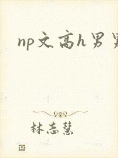 np文高h男男封面