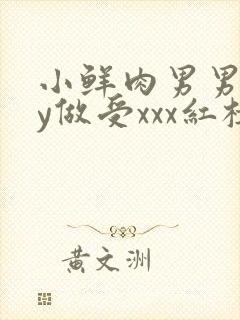 小鲜肉男男gay做受xxx红楼