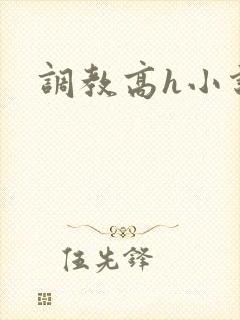 调教高h小说封面