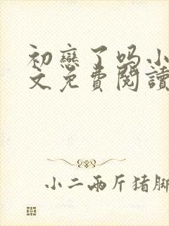 初恋了吗小说全文免费阅读无弹窗