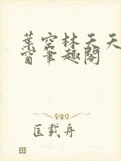 叶空林夭夭无弹窗笔趣阁封面