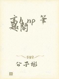 高h np 笔趣阁