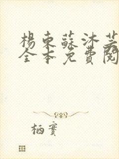 杨东苏沐芸小说全本免费阅读下载