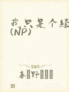 我只是个经纪人(NP)