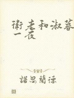 卫老和淑蓉销魂一夜封面