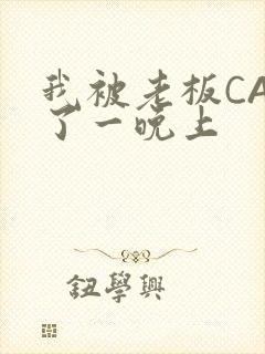 我被老板CAO了一晚上