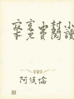 寂寞山村小说全本免费阅读封面