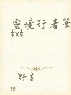 灵境行者笔趣阁txt封面