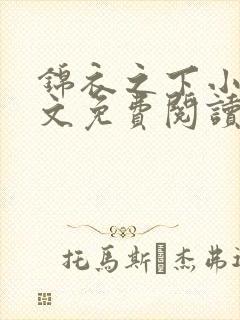 锦衣之下小说全文免费阅读无弹窗封面