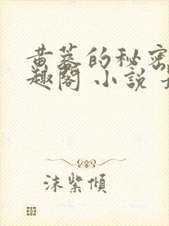 黄蓉的秘密 笔趣阁 小说 最新章节在线阅读