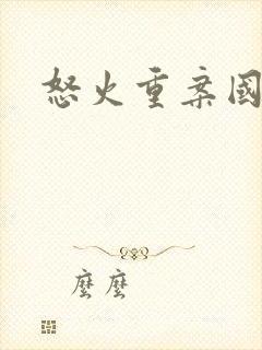 怒火重案国语版