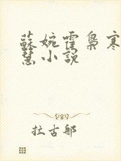 苏婉霍枭寒苏晓慧小说