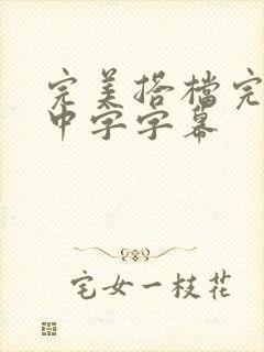 完美搭档完整版中字字幕