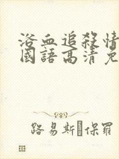 浴血追杀情未了国语高清免费播放