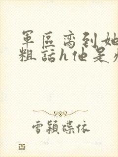 军区脔到她哭h粗话h他是疯批