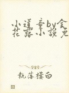 小道童by金银花露小说免费阅读笔趣阁