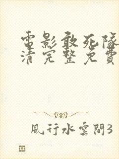 电影敢死队5高清完整免费观看