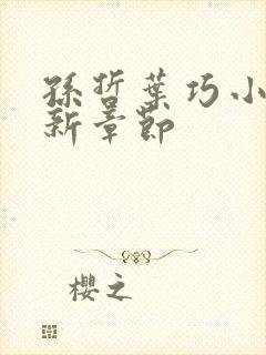 孙哲叶巧小说最新章节