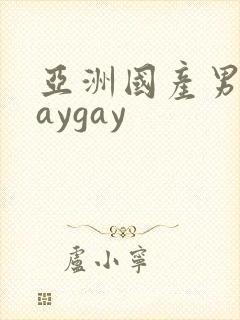 亚洲国产男同gaygay封面