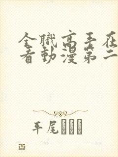 全职高手在线观看动漫第二季