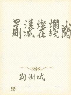 星汉灿烂小说无删减在线阅读