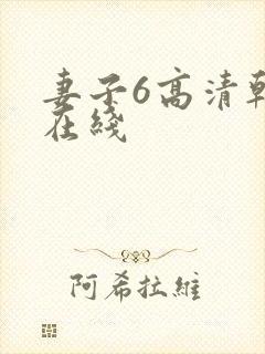 妻子6高清韩剧在线