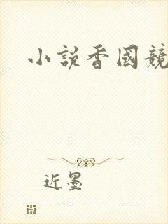 小说香国竞艳