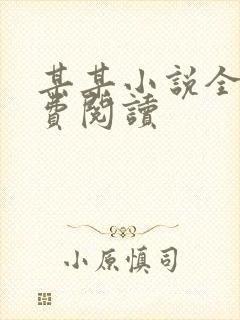 某某小说全文免费阅读