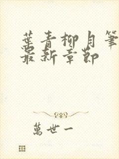 叶青柳月笔趣阁最新章节