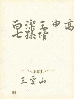 白洁王申高义老七孙倩