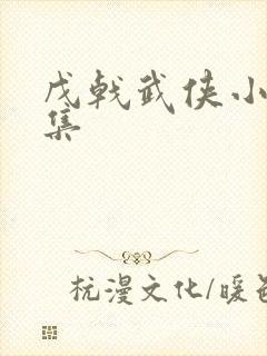 戊戟武侠小说全集封面