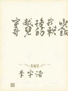 穿越后我吃到了哥儿的软饭炉山灰封面