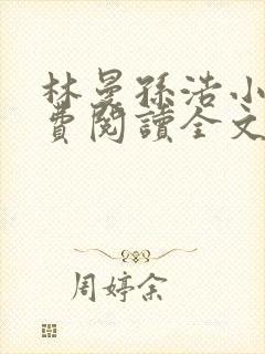 林曼孙浩小说免费阅读全文最新章节